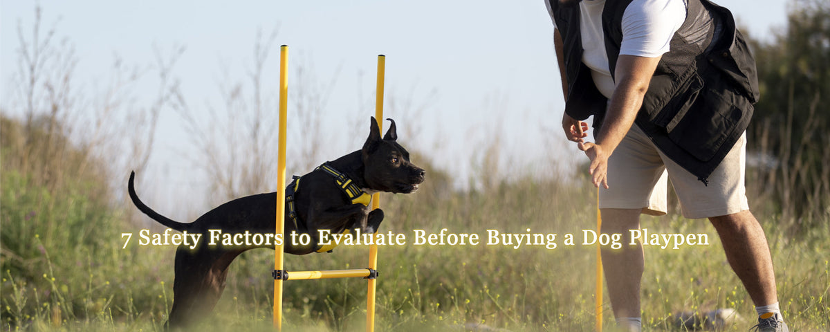 7 Safety Factors to Evaluate Before Buying a Dog Playpen
