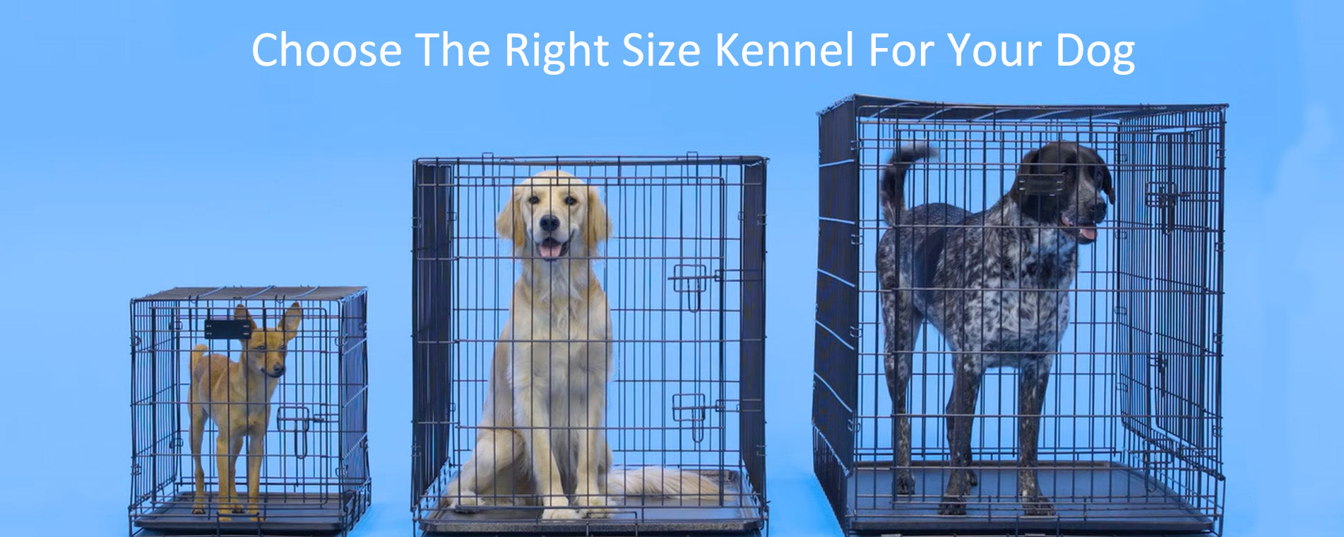 Choose The Right Size Kennel For Your Dog