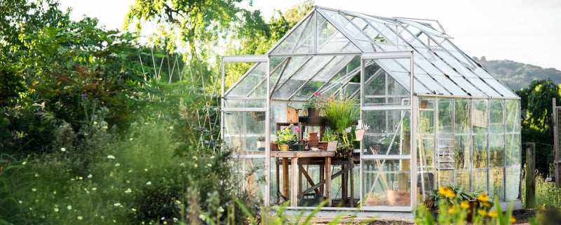 The Best Greenhouse 2025: under $1000