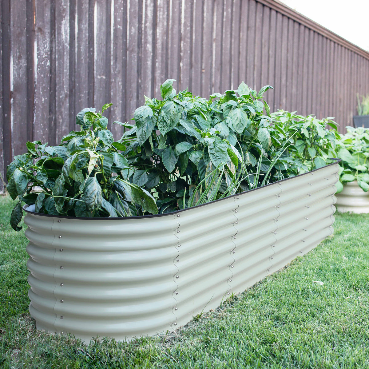 VEIKOUS Metal Garden Bed, 8x2x1.4 ft Galvanized 9 in 1 Modular Garden Planter Box Kit, Pearl White w