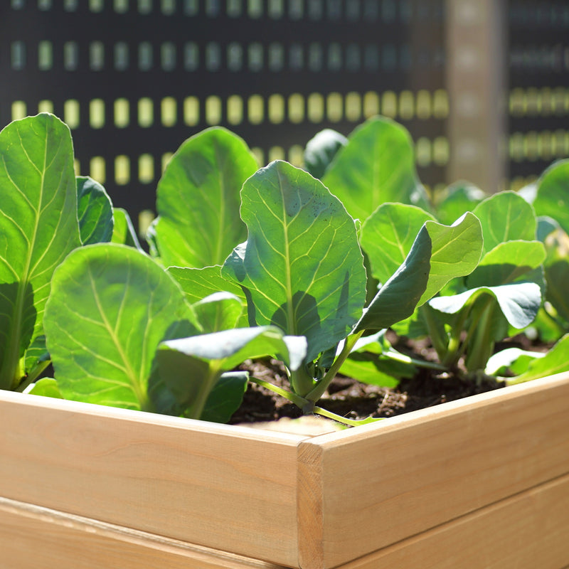 VEIKOUS Raised Garden Bed Outdoor for Vegetables, Large Elevated Planter Box Wood with Liner Design for Herbs