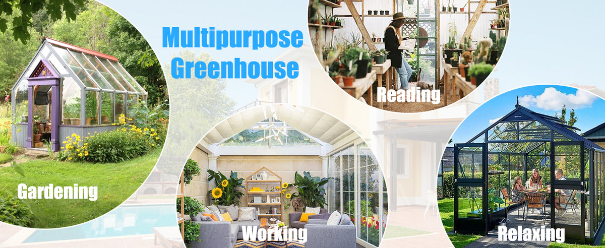 Veikous 8x10 FT Backyard Greenhouses, Walk in Greenhouse with Aluminum Frame, Polycarbonate Greenhouse Kits with Roof Vent