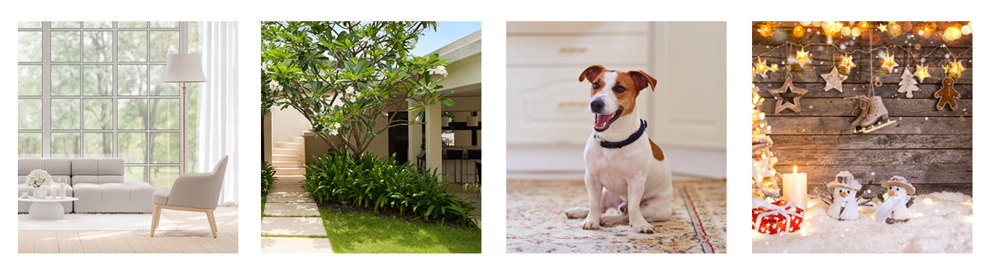 Blog about Home Garden Pets Christmas