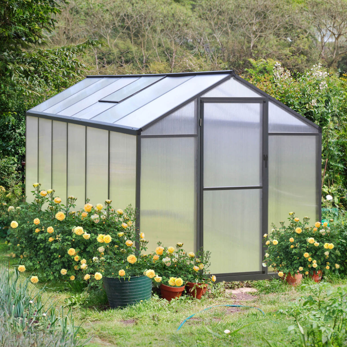 12 x 6 Polycarbonate Walk in Greenhouse 