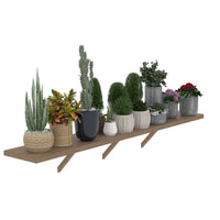 Wooden Greenhouse Shelf, Greenhouse Benches on Side Wall, Greenhouse Shelving for Veikous Greenhouses