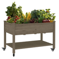 waist high garden beds, Mocha Brown