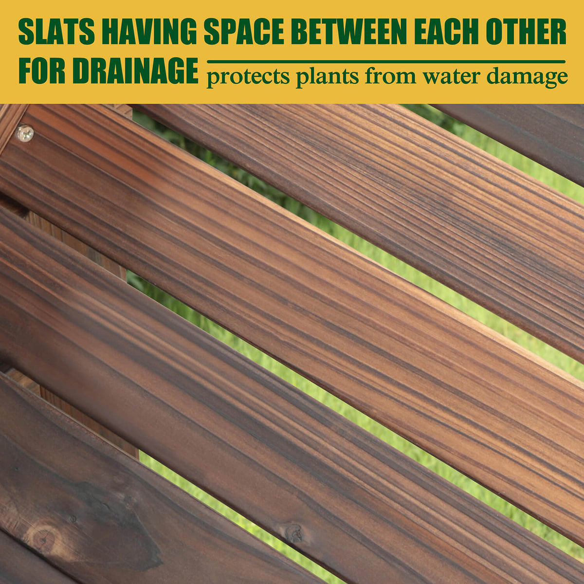 standing garden, Coffee