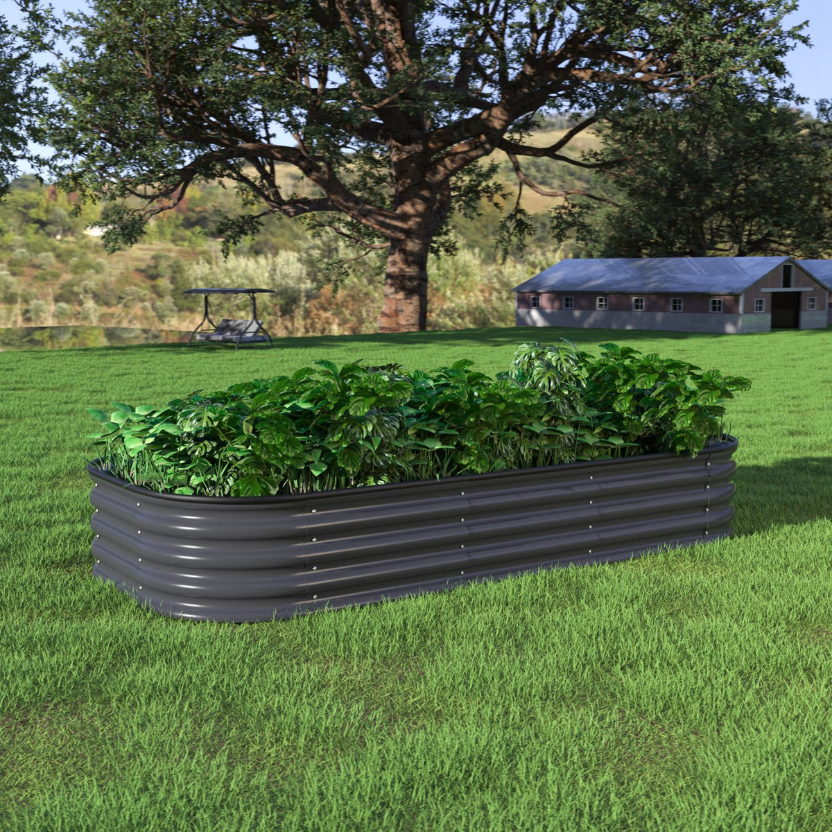 11.2" Height Home Gardening Box