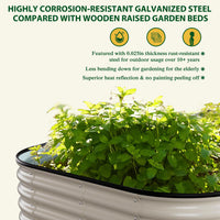 Oval Galvanized Garden Bed Outdoor, Open Bottom