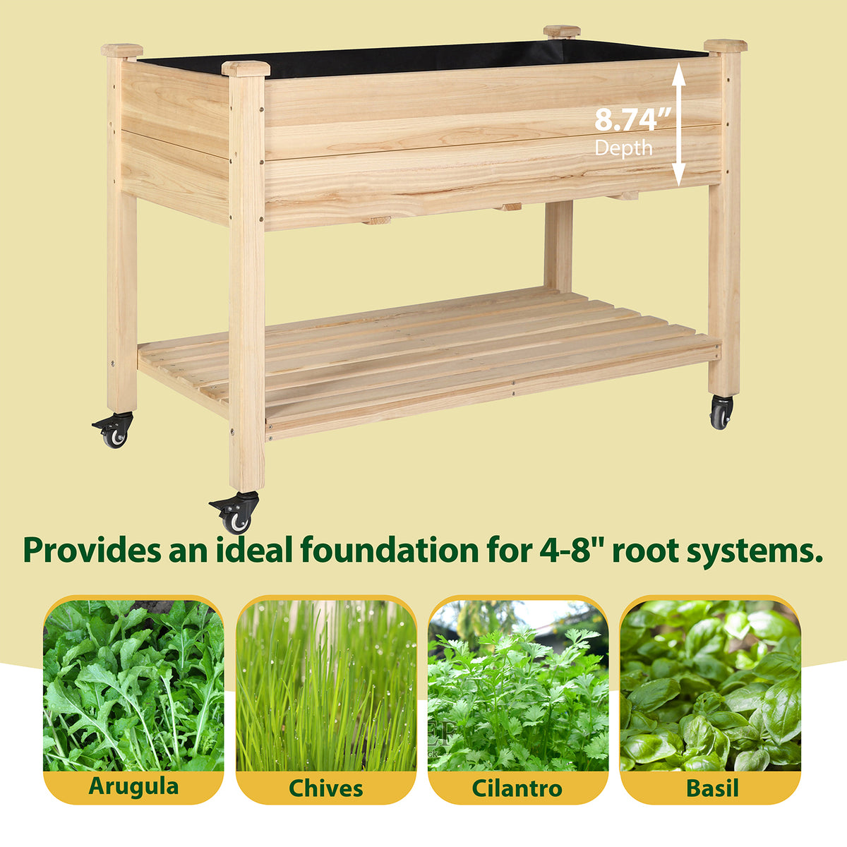 Raised Garden Bed for Arugula