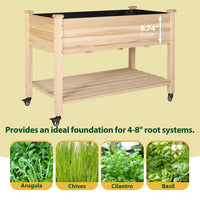 Raised Garden Bed for Arugula