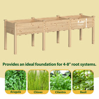 Elevated Garden Box with Dividers