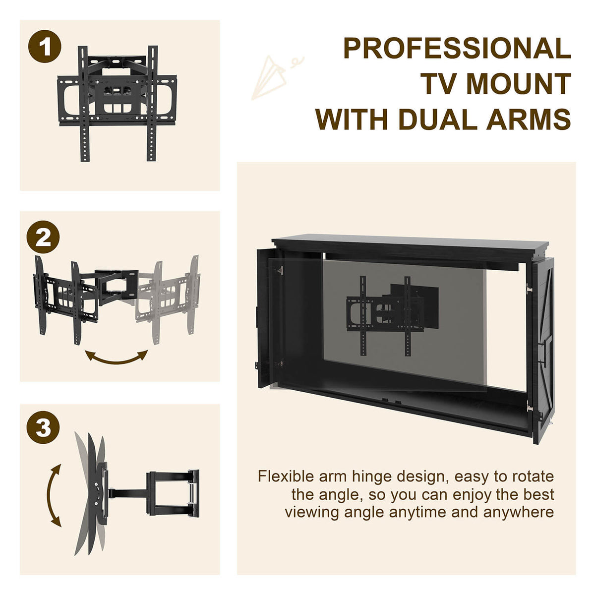 Professional TV mount with dual arms