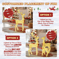 Light Up Reindeer Decorations