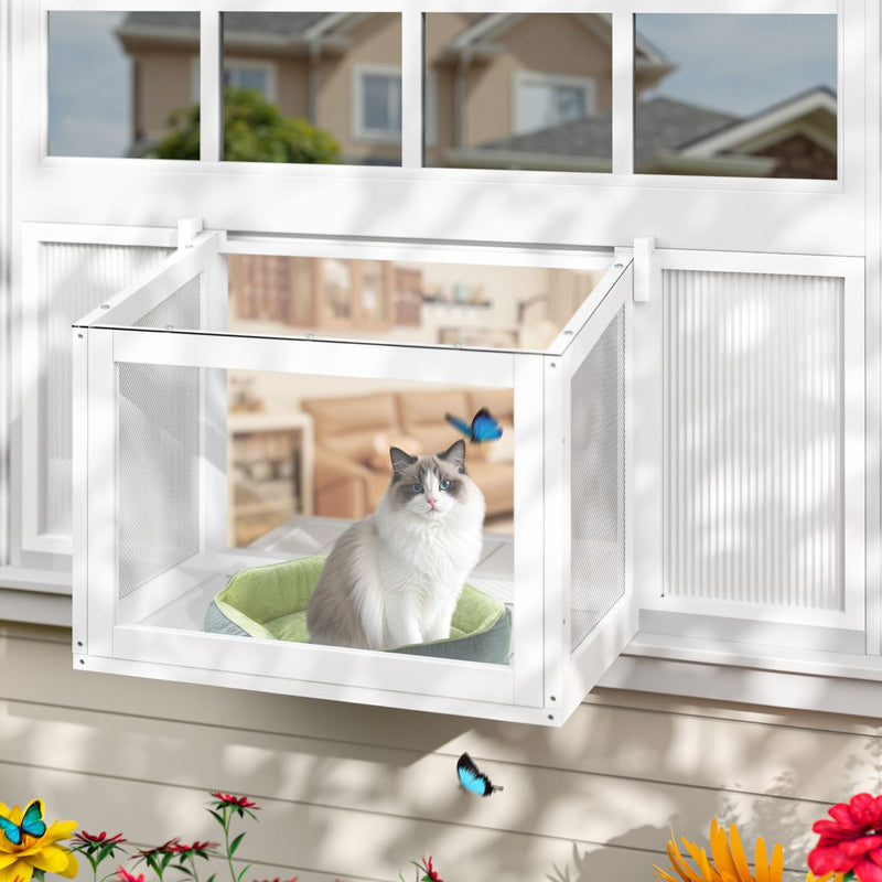 Plexiglass Cat Window Box for Indoor Cats