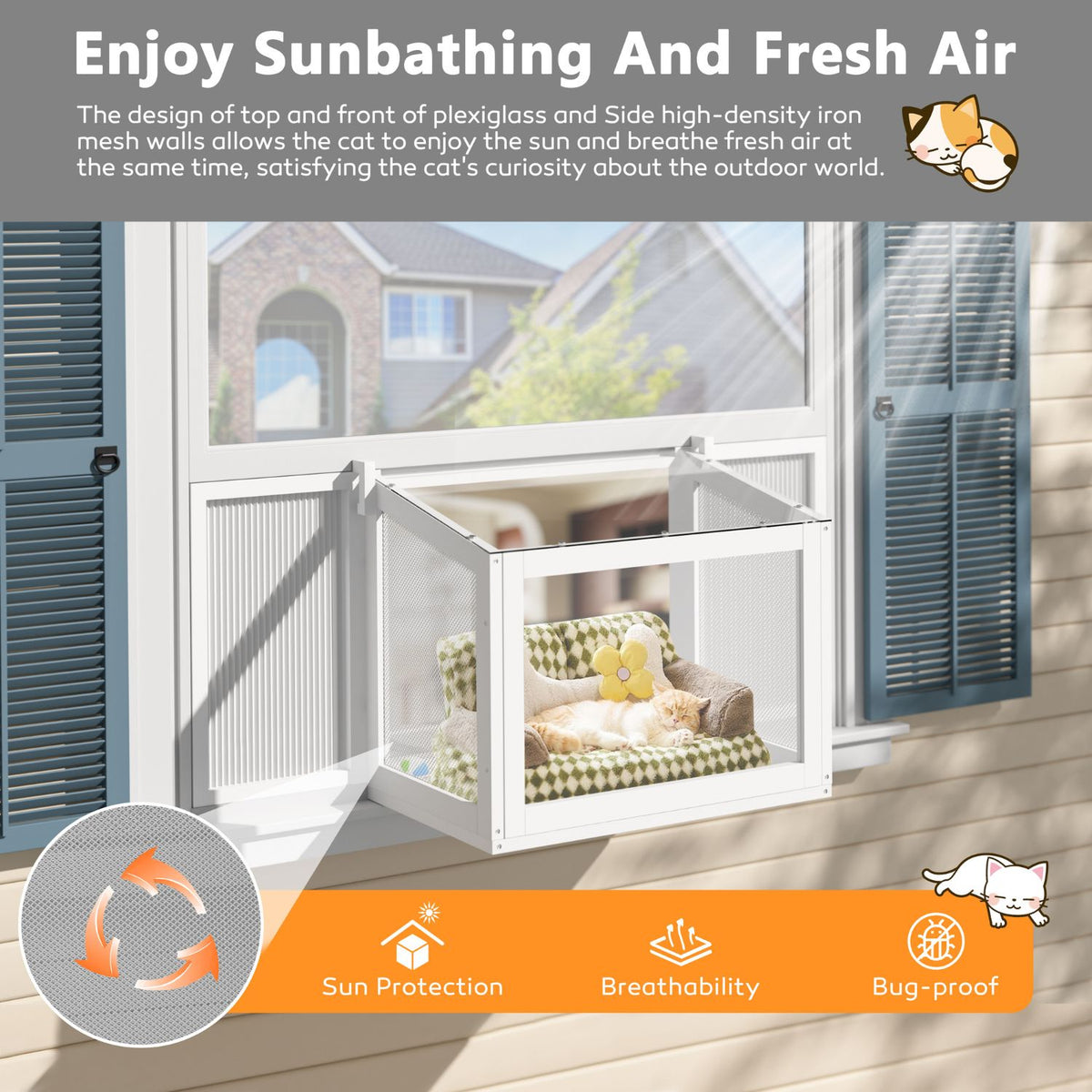 Transparent Glass Cat Window