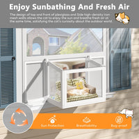 Transparent Glass Cat Window