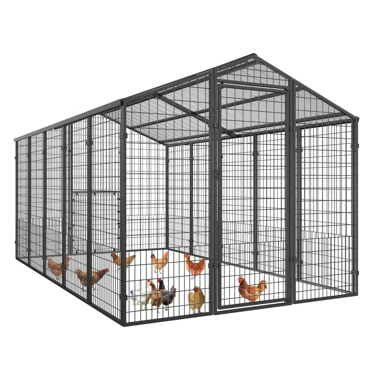 Metal Chicken Coop for 15 Chickens