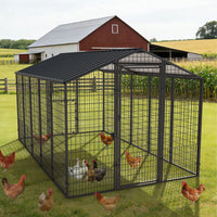 metal chicken run with roof