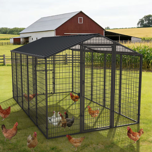 metal chicken run with roof