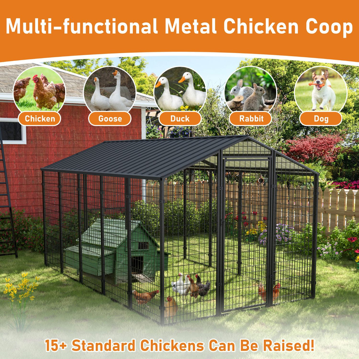 chicken coop with metal roof