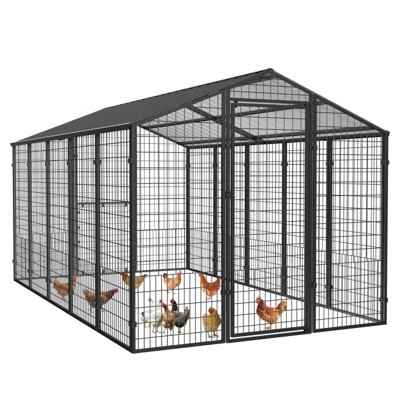 Metal Chicken Coop for 15 Chickens