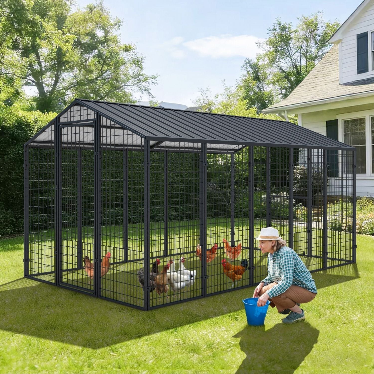 Walk in Chicken Cage with Steel Roof
