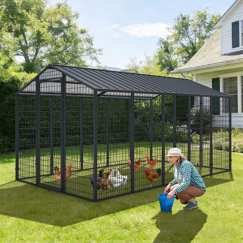 Walk in Chicken Cage with Steel Roof
