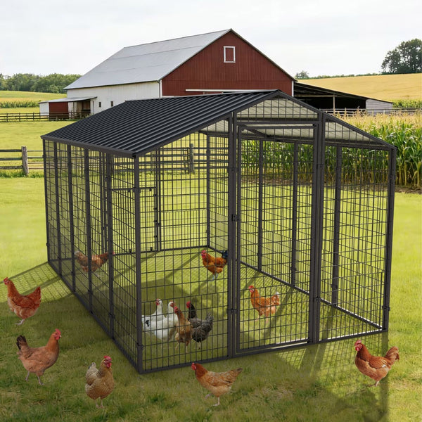 metal chicken run with roof