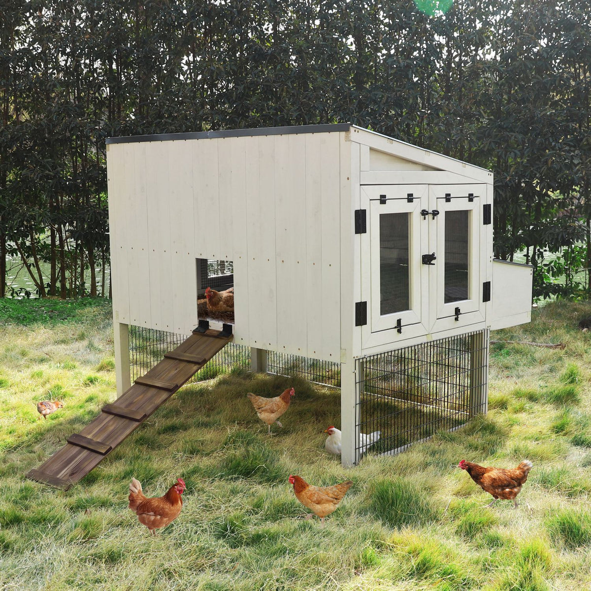 Large Wood Chicken House