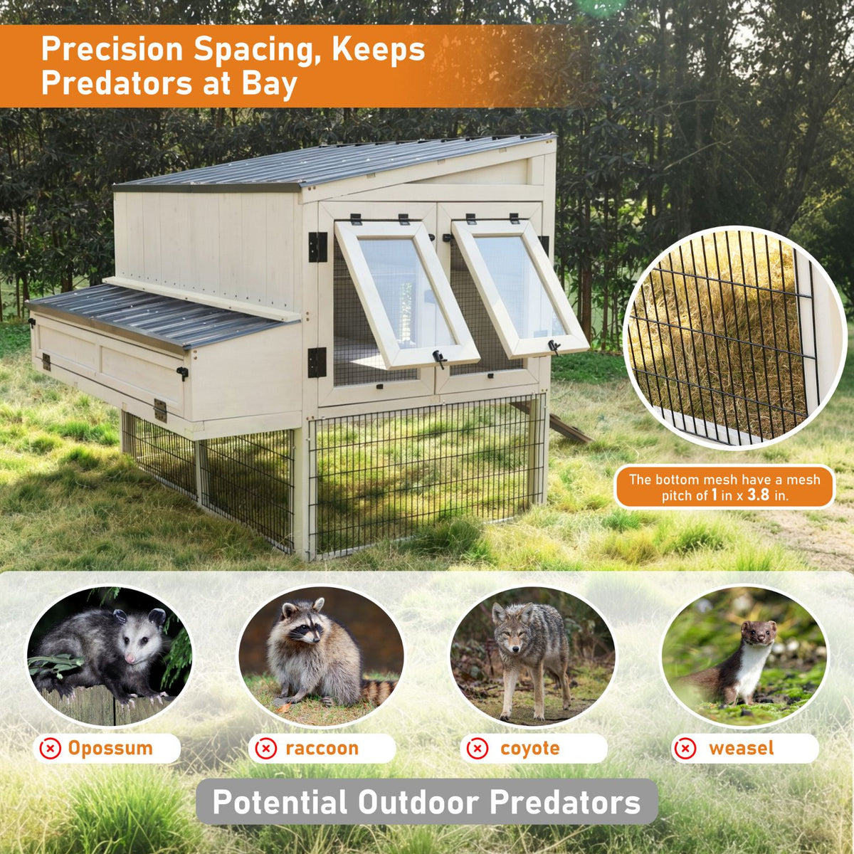 Predator-Resistant Poultry Coop