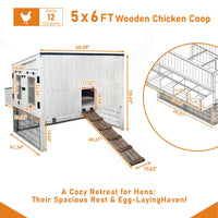Chicken Coop for 12 Chickens