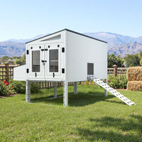 Chicken Coop Large Hen House