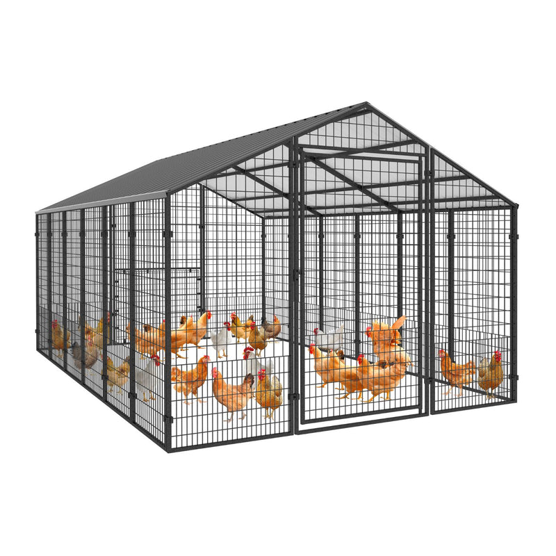 Metal Chicken Coop for 25+ Chickens
