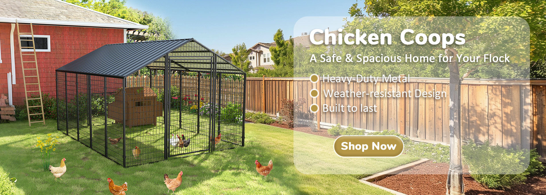 Veikous Metal Chicken Coop homepage banenr