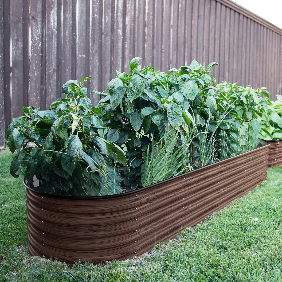 Steel Garden Beds, wood grain, 17" H