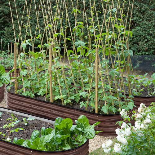 Galvanized Steel Garden Beds, Brown