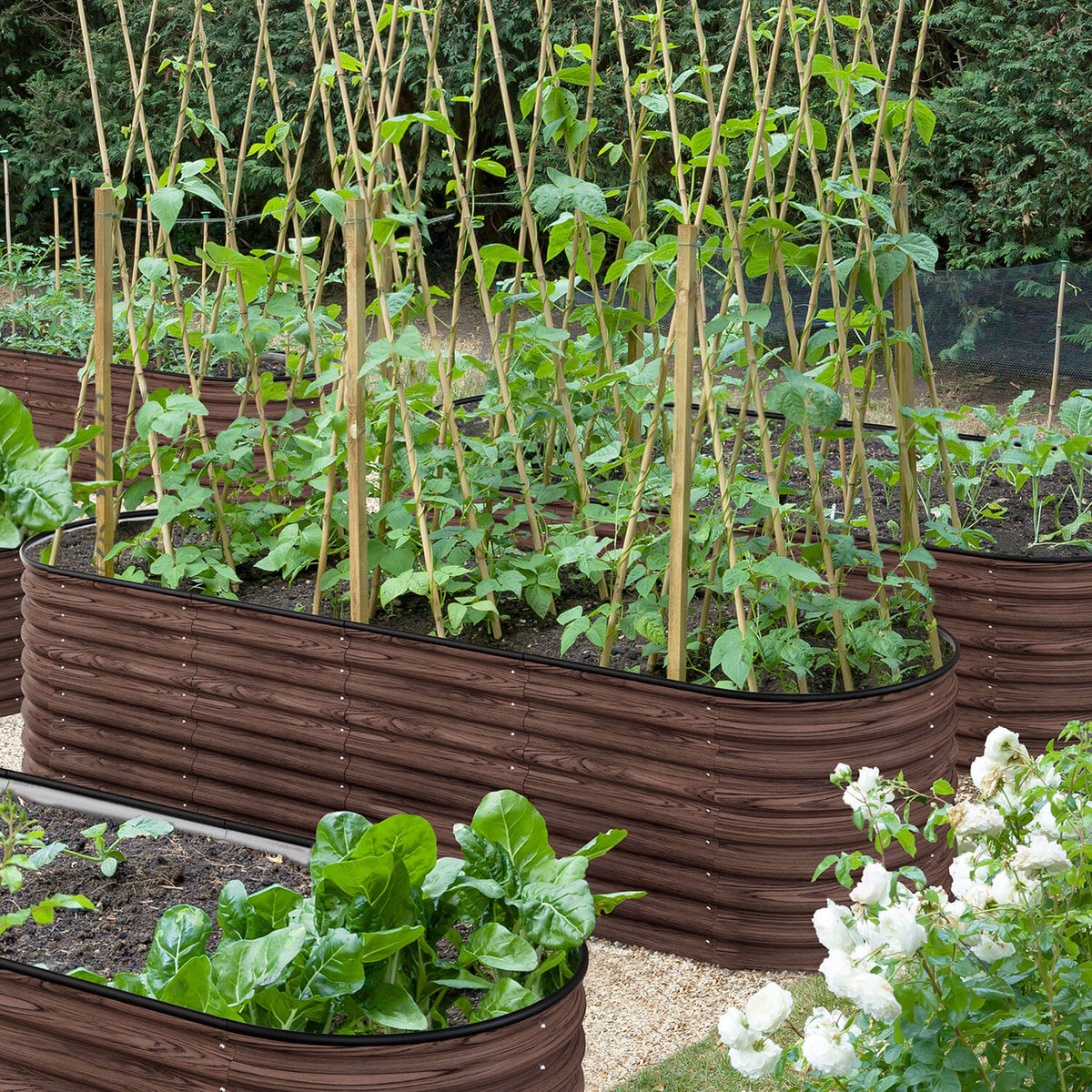 Brown Metal Steel Garden Beds